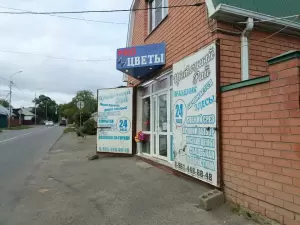 Фотография ProЦветы 0