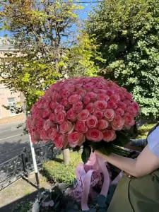 Фотография Маркиза 2