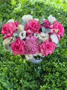 Фотография Маркиза 4