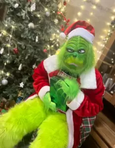 Фотография Золотой слон 5